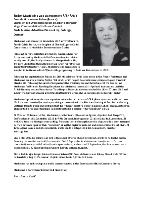 A preview of a PDF biography for Damerment, Madeleine Zoe